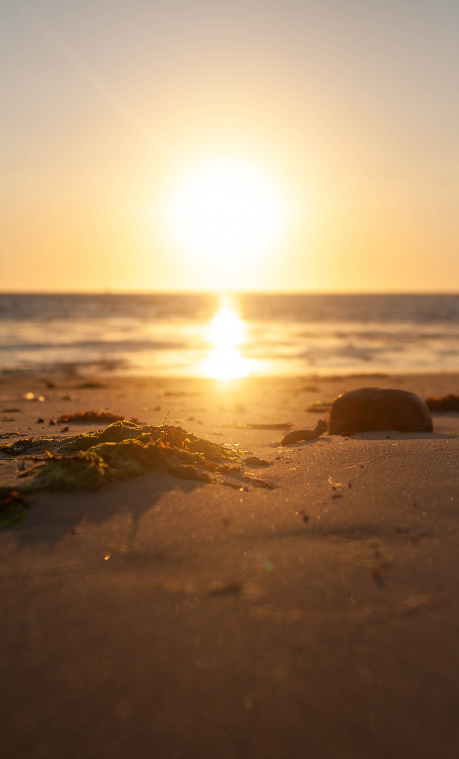 Coucher de soleil sur une plage.